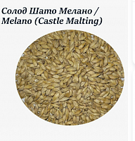 Malt Chateau Melano, Castle malting